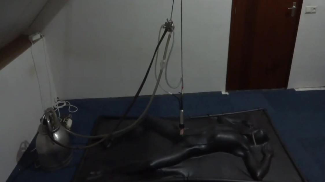 Vacbed Milking
