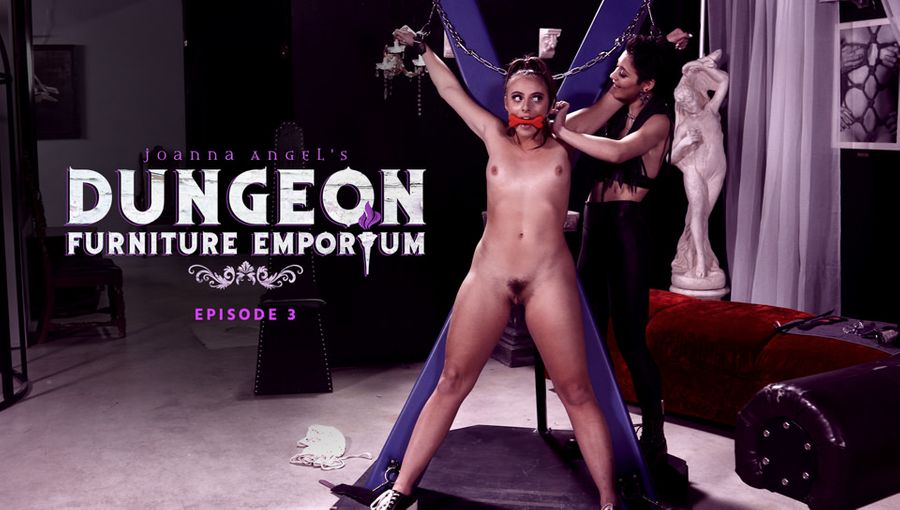 Joanna Angel's Dungeon Furniture Emporium - 3
